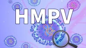 Sự gia tăng ca nhiễm HMPV tại các quốc gia ở Bắc bán cầu là xu hướng phổ biến theo mùa